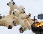 Winter BBQ